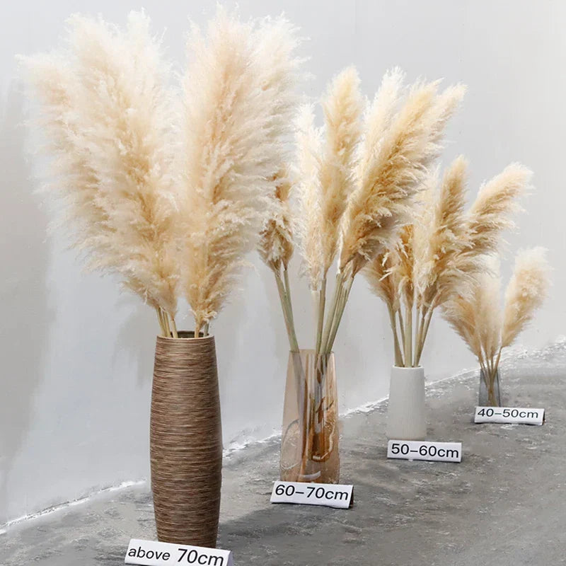 Gedroogde Pampagras Pluimen 10-Delige Set Natuurlijk Decoratief Siergras