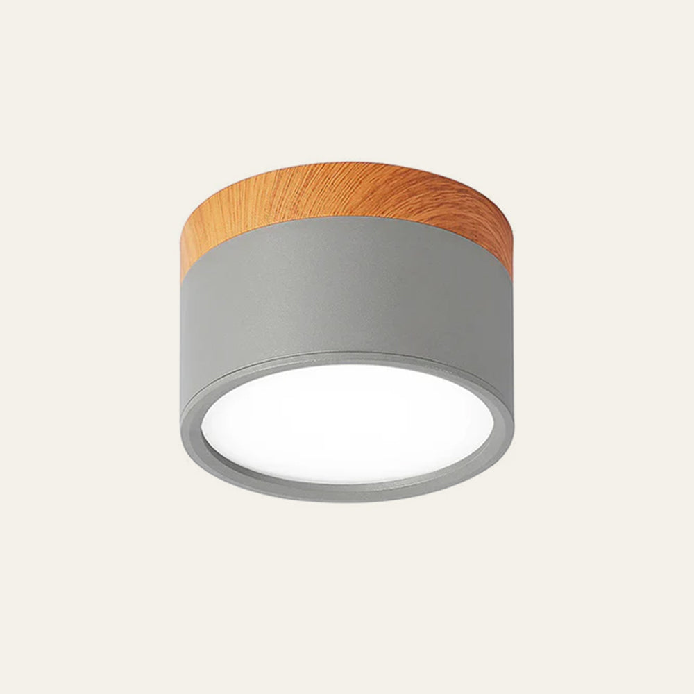 Cylinder kleine plafondlamp LED hout modern plafond hal woonkamer compact design