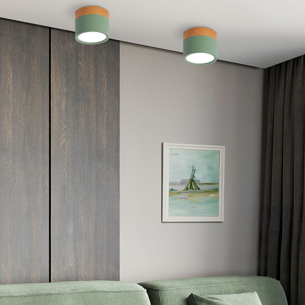 Cylinder kleine plafondlamp LED hout modern plafond hal woonkamer compact design