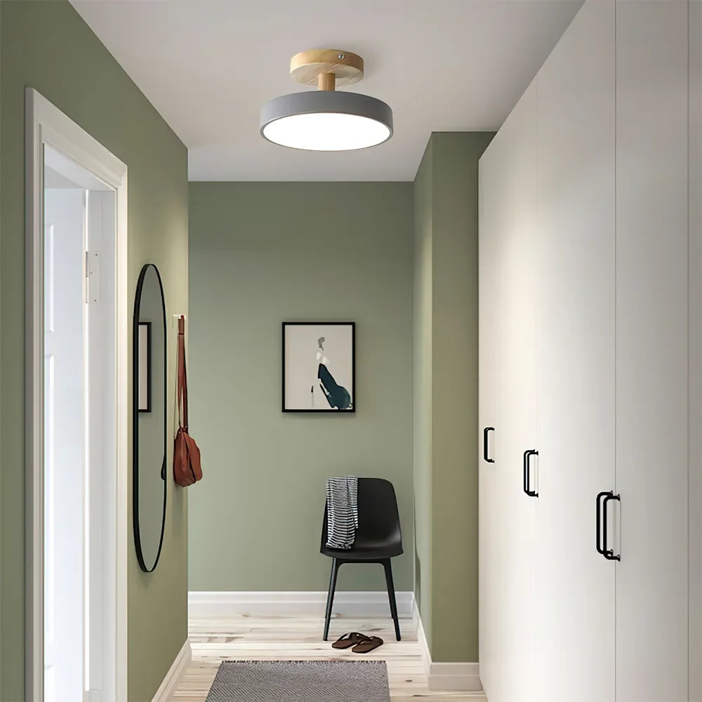 Pedol plafondlamp LED 12W hout groen plafondlamp slaapkamer hal Scandinavisch design moderne verlichting kleine ruimtes