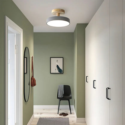 Pedol plafondlamp LED 12W hout groen plafondlamp slaapkamer hal Scandinavisch design moderne verlichting kleine ruimtes