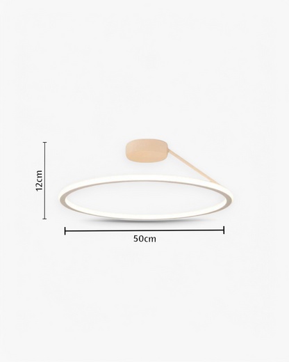 Moderne Plafondlamp Ring Minimalistisch Design Zwart Wit Goud S M L Dimbaar LED Sfeerverlichting Woonkamer Slaapkamer Eetkamer Scandinavische Stijl
