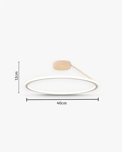 Moderne Plafondlamp Ring Minimalistisch Design Zwart Wit Goud S M L Dimbaar LED Sfeerverlichting Woonkamer Slaapkamer Eetkamer Scandinavische Stijl