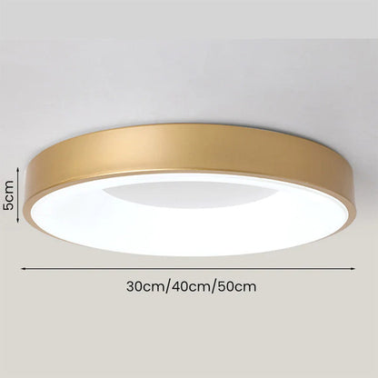 LED plafondlamp rond acryl ijzer lage ruimtes hal slaapkamer woonkamer moderne opbouwlamp minimalistische plafondverlichting
