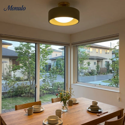 Porseleinen Plafondlamp met Strakke Montage – Moderne Lage Profiellamp Keramiek Opbouwverlichting