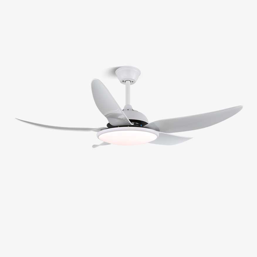 Plafondventilator Aquila Moderne Uitvoering met LED-verlichting en Afstandsbediening 6 Snelheden Ø122 cm voor Woonkamer Slaapkamer