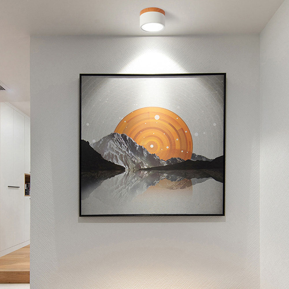 Cylinder kleine plafondlamp LED hout modern plafond hal woonkamer compact design