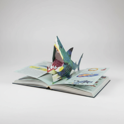 Pop Up Boek Dinosaurussen 3D Kinderboek Interactief Educatief Voor Kinderen