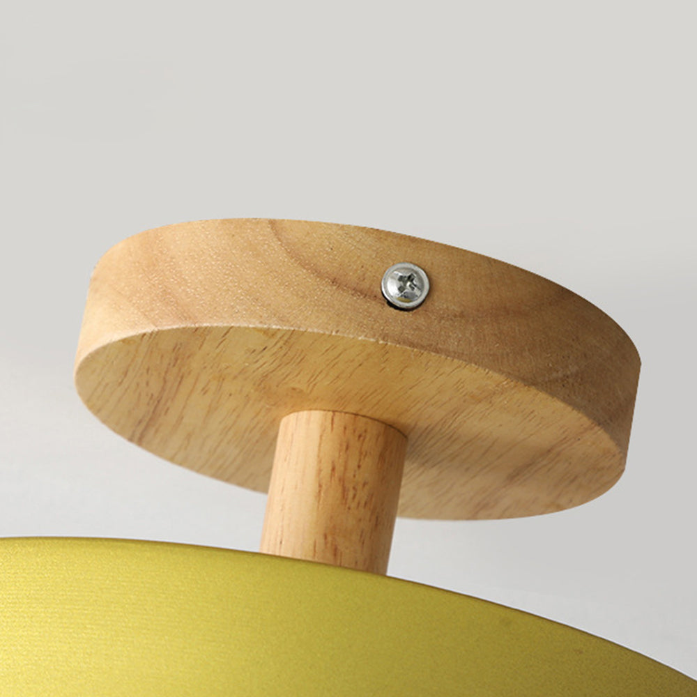 Pedol plafondlamp LED 12W hout groen plafondlamp slaapkamer hal Scandinavisch design moderne verlichting kleine ruimtes