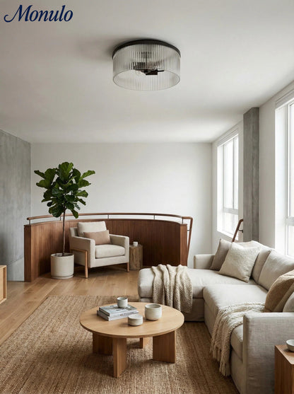 Geribbelde Glazen Plafondlamp Modern Laagbouw Ontwerp Slaapkamer Woonkamer Gang