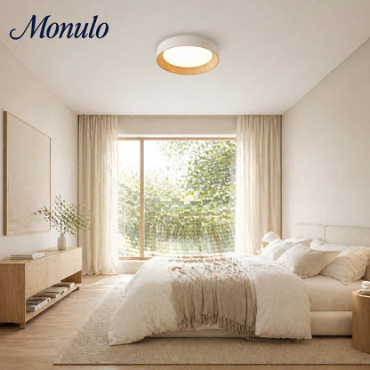 Minimalistische Plafondlamp Rond Laagbouw Slaapkamer Plafondverlichting LED