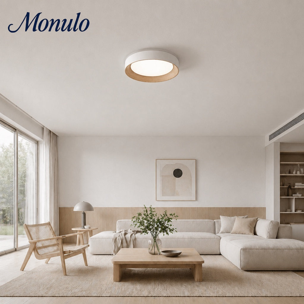 Minimalistische Plafondlamp Rond Laagbouw Slaapkamer Plafondverlichting LED