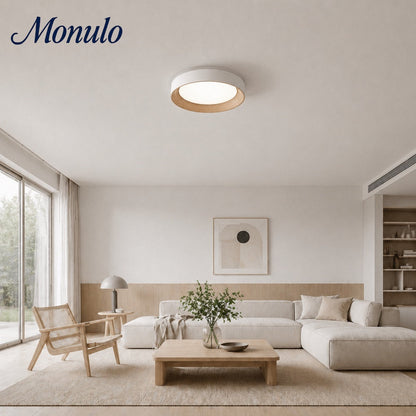 Minimalistische Plafondlamp Rond Laagbouw Slaapkamer Plafondverlichting LED