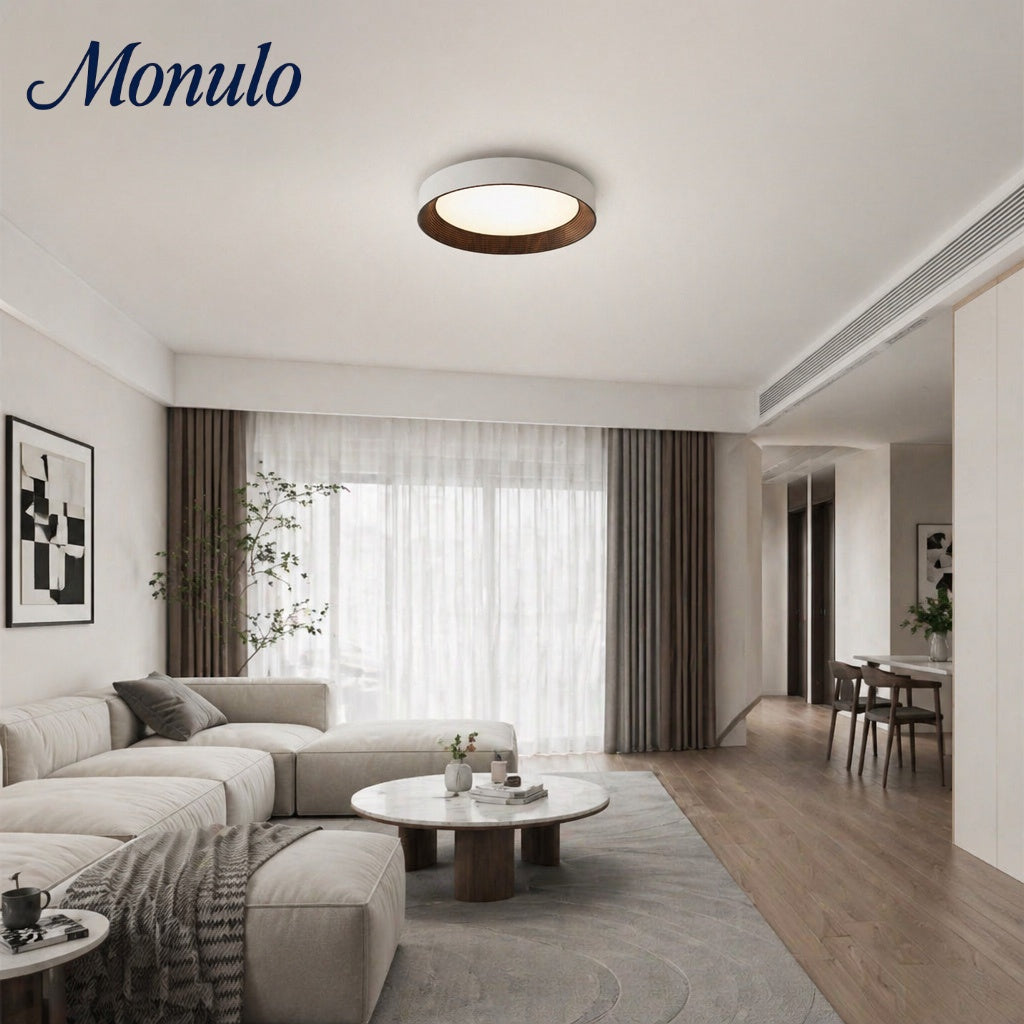 Minimalistische Plafondlamp Rond Laagbouw Slaapkamer Plafondverlichting LED