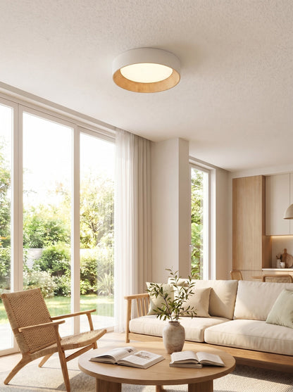 Minimalistische Plafondlamp Rond Laagbouw Slaapkamer Plafondverlichting LED
