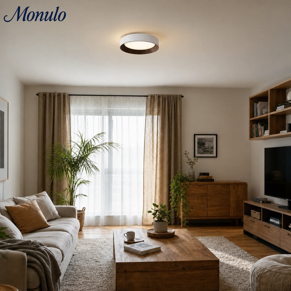 Minimalistische Plafondlamp Rond Laagbouw Slaapkamer Plafondverlichting LED