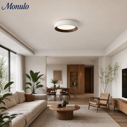 Minimalistische Plafondlamp Rond Laagbouw Slaapkamer Plafondverlichting LED