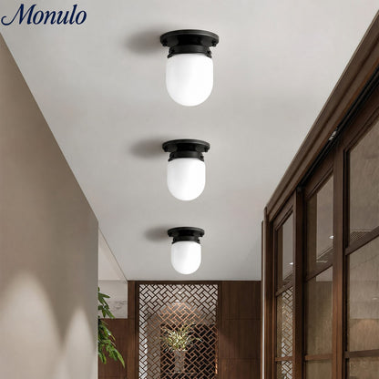 Opaal Glazen Wandlamp & Plafondlamp Dubbelfunctie Modern Design Messing