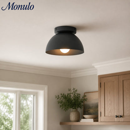 Minimalistische Plafondlamp Dome voor Compacte Ruimtes – Opbouwspot Beschikbaar in Meerdere Kleuren