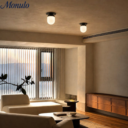 Opaal Glazen Wandlamp & Plafondlamp Dubbelfunctie Modern Design Messing