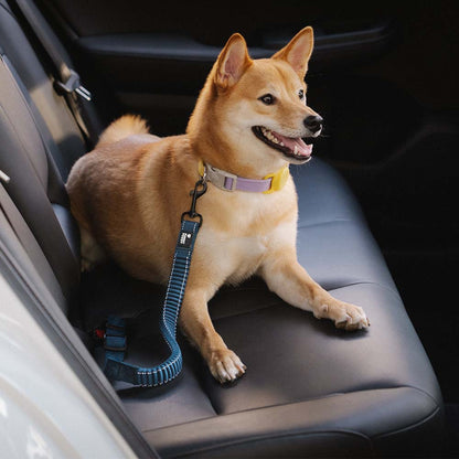 Autogordel Buffer Verstelbaar Hondenhalsband Tuigje Veiligheid Auto Reizen Reflecterend Huisdier Hond