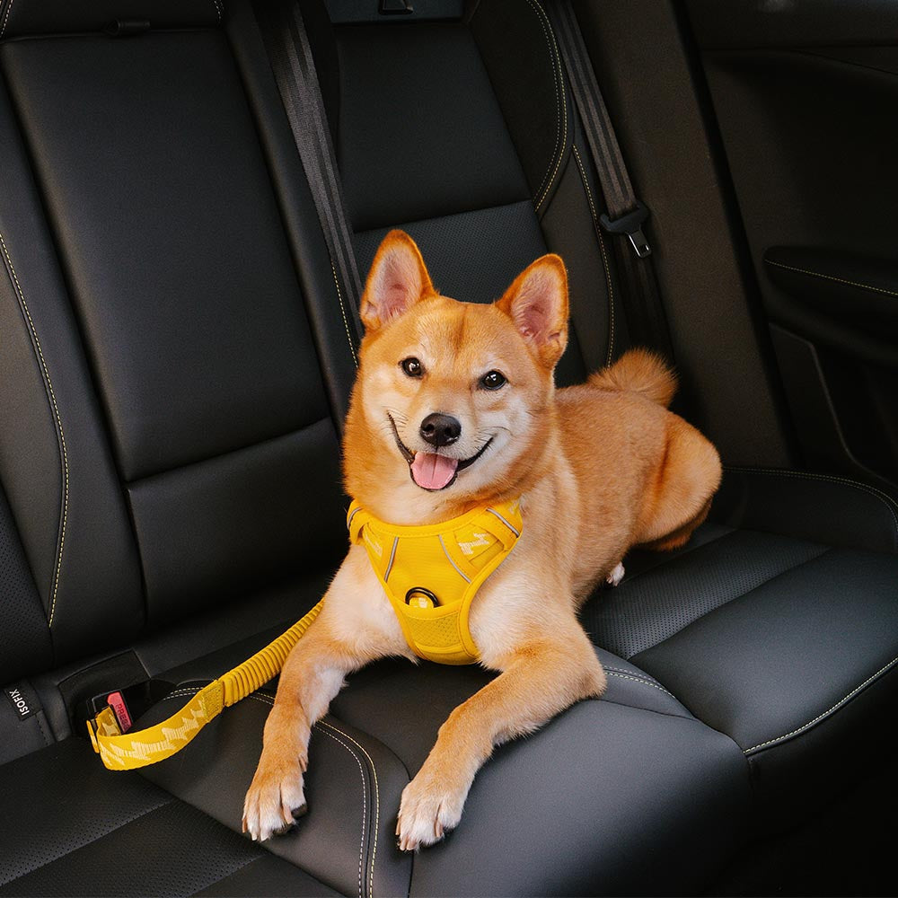 Autogordel Buffer Verstelbaar Hondenhalsband Tuigje Veiligheid Auto Reizen Reflecterend Huisdier Hond