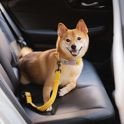 Autogordel Buffer Verstelbaar Hondenhalsband Tuigje Veiligheid Auto Reizen Reflecterend Huisdier Hond