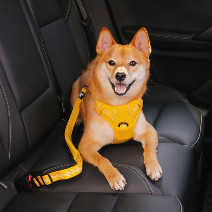 Autogordel Buffer Verstelbaar Hondenhalsband Tuigje Veiligheid Auto Reizen Reflecterend Huisdier Hond