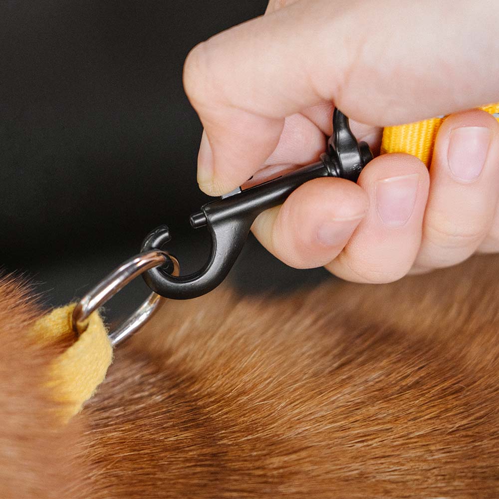 Autogordel Buffer Verstelbaar Hondenhalsband Tuigje Veiligheid Auto Reizen Reflecterend Huisdier Hond