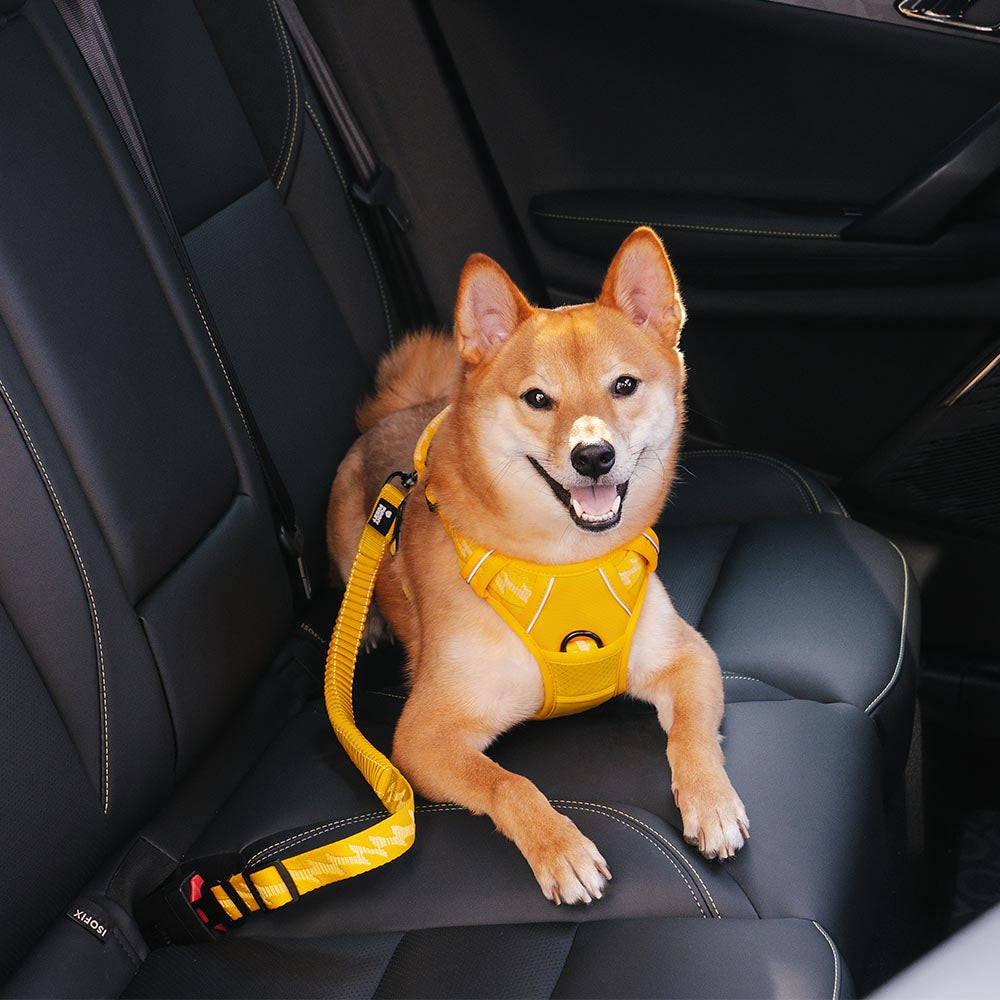Autogordel Buffer Verstelbaar Hondenhalsband Tuigje Veiligheid Auto Reizen Reflecterend Huisdier Hond