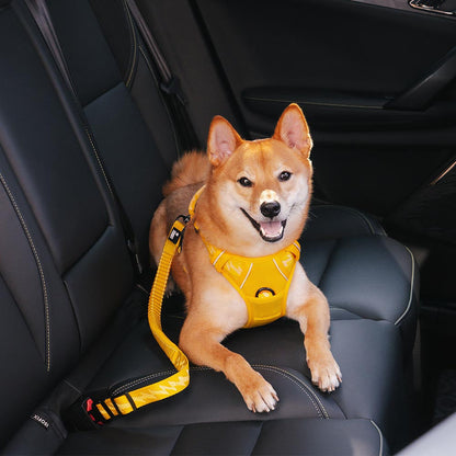 Autogordel Buffer Verstelbaar Hondenhalsband Tuigje Veiligheid Auto Reizen Reflecterend Huisdier Hond