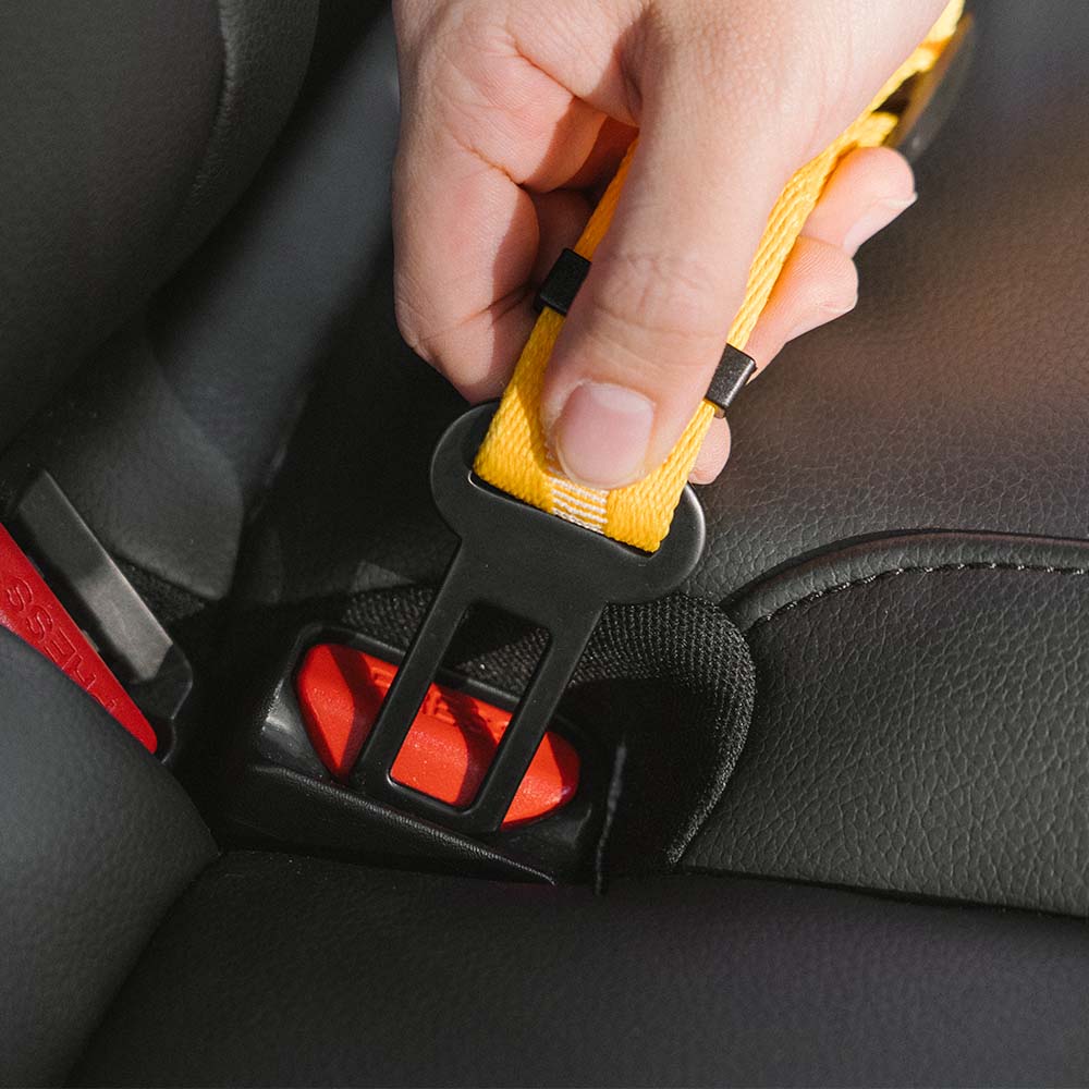 Autogordel Buffer Verstelbaar Hondenhalsband Tuigje Veiligheid Auto Reizen Reflecterend Huisdier Hond