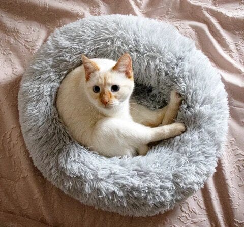 Huisdiermand Pluche Rond met Verhoogde Rand Grijs Bruin Roze voor Honden en Katten 40-120 cm Wasbaar Rustgevend Ontwerp