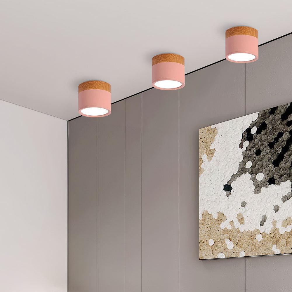 Cylinder kleine plafondlamp LED hout modern plafond hal woonkamer compact design