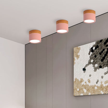 Cylinder kleine plafondlamp LED hout modern plafond hal woonkamer compact design