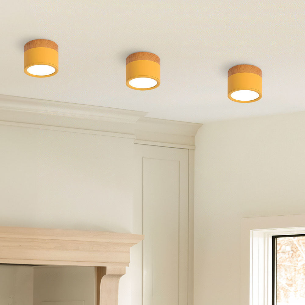 Cylinder kleine plafondlamp LED hout modern plafond hal woonkamer compact design