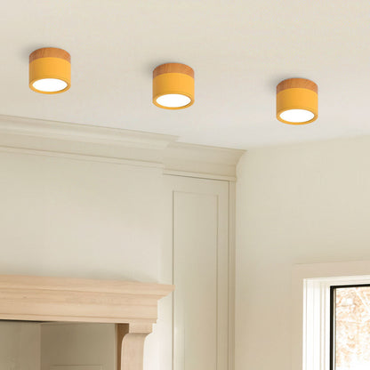 Cylinder kleine plafondlamp LED hout modern plafond hal woonkamer compact design
