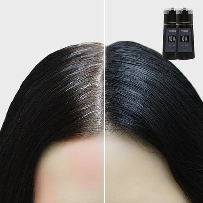 Kleurshampoo Haarkleurbehandeling met Natuurlijke Extracten Verzorgend Glanzend Haar voor Thuisgebruik