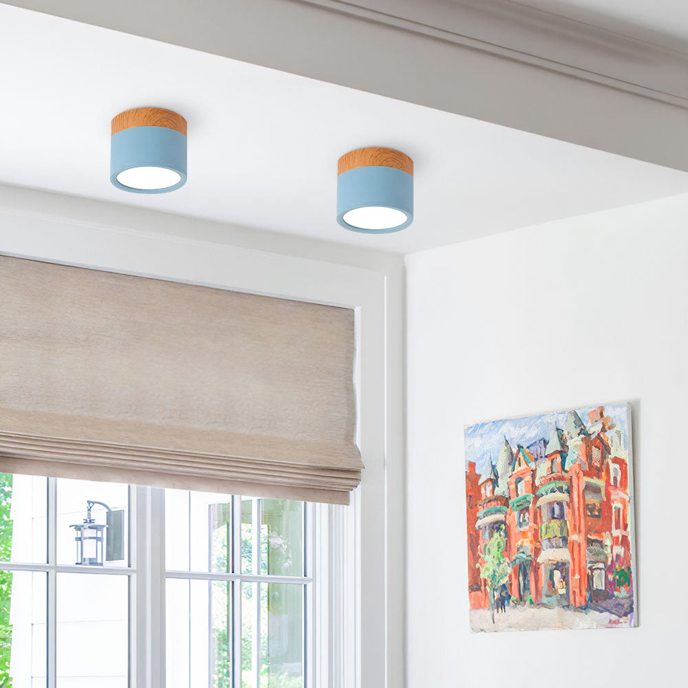 Cylinder kleine plafondlamp LED hout modern plafond hal woonkamer compact design