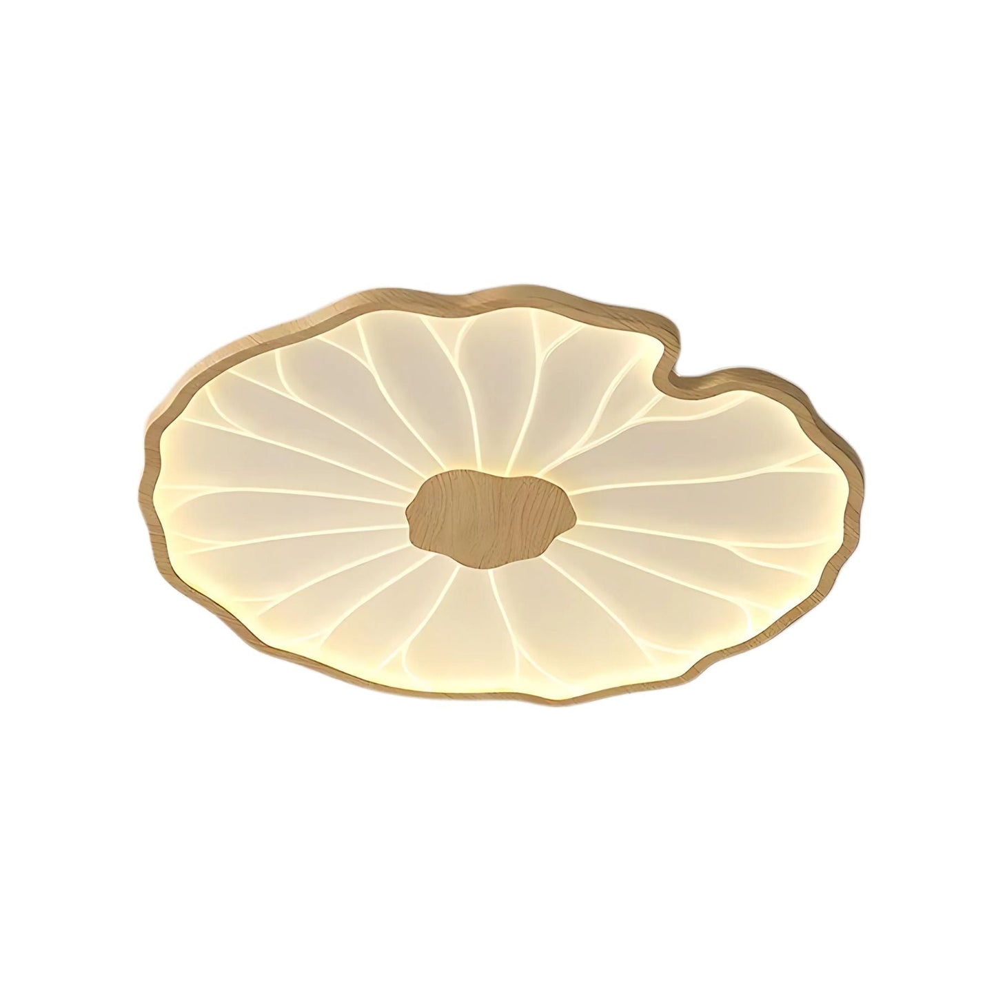 LED plafondlamp houtlook walnoot acryl metaal plafondlamp lage plafonds woonkamer slaapkamer designlamp