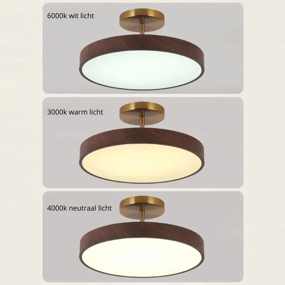 LED Plafondlamp Houtlook Goud Rond Half-Opbouw Woonkamer Slaapkamer Eetkamer Design Plafondverlichting