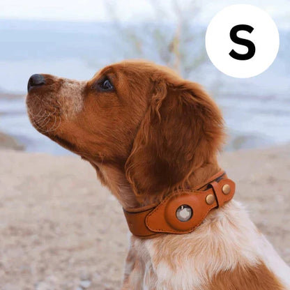 GPS-hondenhalsband met wereldwijde tracking zonder abonnement voor veilige wandelingen en volledige controle over je hond