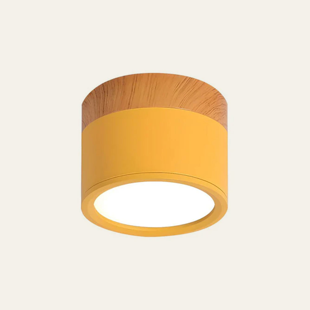 Cylinder kleine plafondlamp LED hout modern plafond hal woonkamer compact design