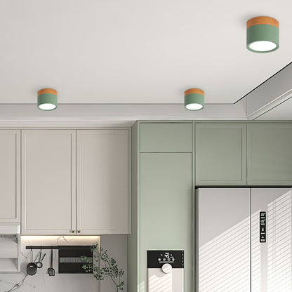 Cylinder kleine plafondlamp LED hout modern plafond hal woonkamer compact design