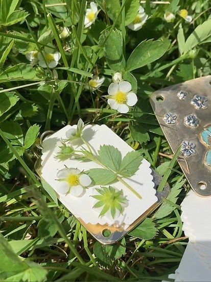 Mini Bloemenpers Compacte Botanische Droogpers Draagbare Herbarium Pers Natuurlijke Bladeren Bewaren