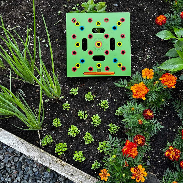 Zaaisjabloon voor Moestuin – Plantafstand Hulpmiddel voor Groenten & Kruiden – 30x30 cm Zaaisjabloon Tuin met Handleiding
