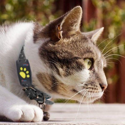 GPS Tracker Kat Realtime Locatie Smartphone Compact 2x2cm Geen Abonnement
