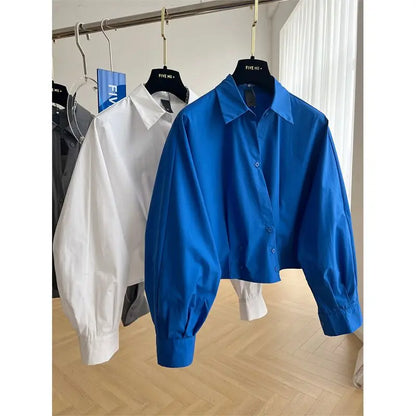 Blauw Kort Shirt Dames Lange Mouwen Zomer Lente