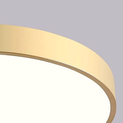LED Plafondlamp Rond Modern Dimbaar voor Woonkamer en Slaapkamer