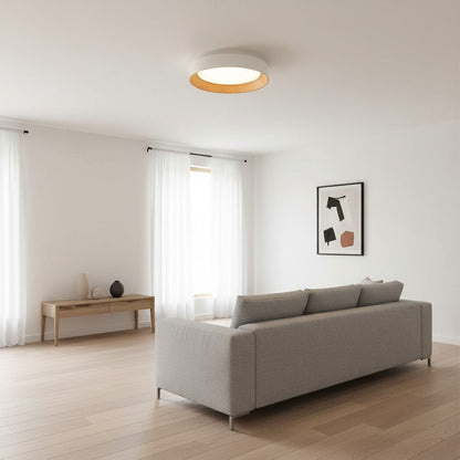 Minimalistische Plafondlamp Rond Laagbouw Slaapkamer Plafondverlichting LED